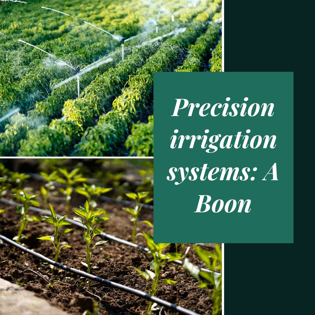 I see Precision irrigation systems as the game-changer in modern agriculture, ensuring efficient water management and maximizing crop yields. #SustainableAgriculture #SmartFarming #AgTech #FoodSecurity #PrecisionIrrigation #WaterManagement #IrrigationSystems