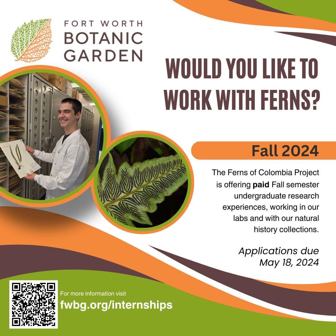 BotanyBrooke's tweet photo. @fwbotanicgarden  has openings for paid internships this summer &amp; fall, ideally for JR/SR undergrads or recent bach grads living in DFW. Please share w your networks! App deadlines vary from THIS FRI May 3rd to May 18th. All position &amp; details at https://t.co/7Uq1XFXzdQ. https://t.co/800TGi13cK