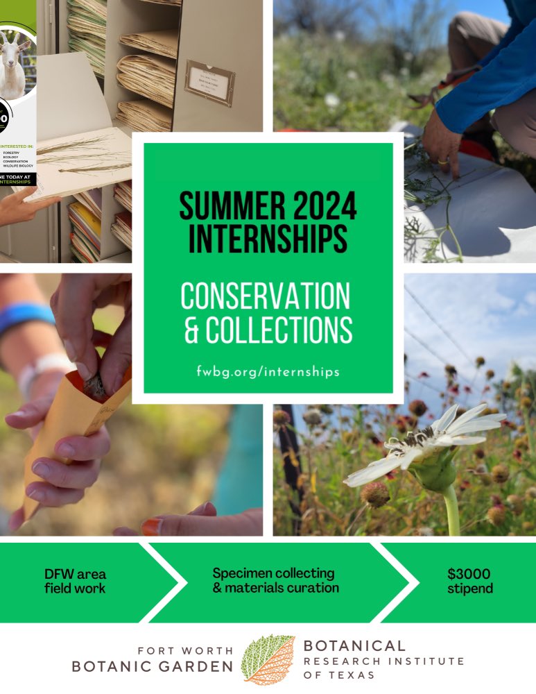 BotanyBrooke's tweet photo. @fwbotanicgarden  has openings for paid internships this summer &amp; fall, ideally for JR/SR undergrads or recent bach grads living in DFW. Please share w your networks! App deadlines vary from THIS FRI May 3rd to May 18th. All position &amp; details at https://t.co/7Uq1XFXzdQ. https://t.co/800TGi13cK
