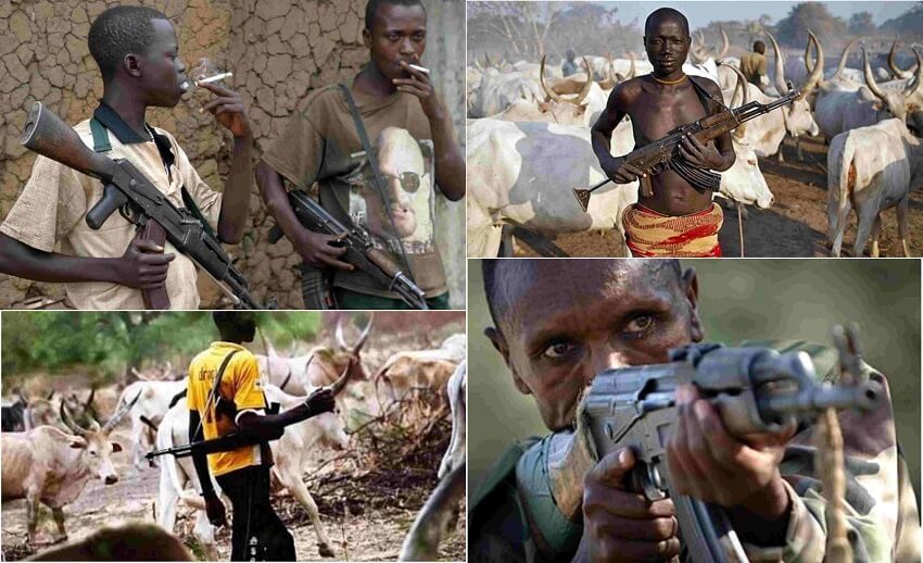 Ugwujoro in Nimbo community of Uzo-Uwani LGA of Enugu State was attacked by Fulani heardmen yesterday Sunday 28th April,They invaded the village & opened fire on the villagers, At least 4 confirmed dead including a little child. Nothing has been heard from the state govt till now