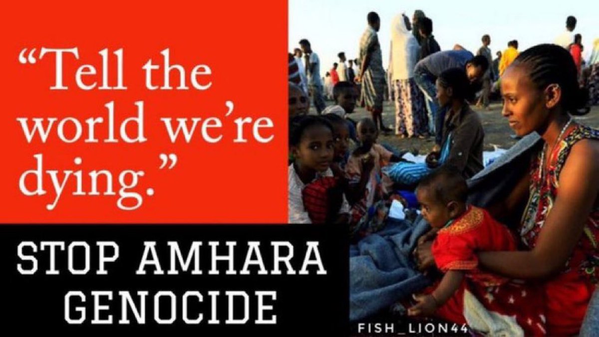 🚨END #AmharaGenocide #AbiyToICC 
#AmharaUnderAttack

Ruthless callous nature of Ethiopia 
#Oromofascism PM @AbiyAhmedAli thirst for violence has been on display ever since he has been in power, what has been shocking is the lawless & morally bankrupt nature of  IC, now we have