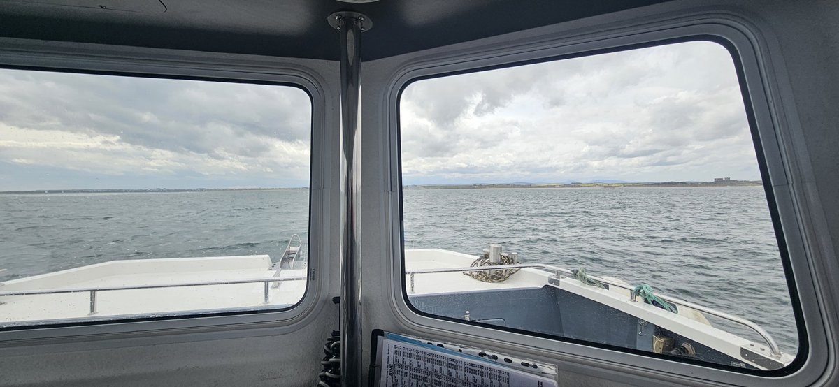 View from my office window today. It's cold and miserable, but at least it's not raining like yesterday. #farneislands #seahouses farneislandstours.co.uk
