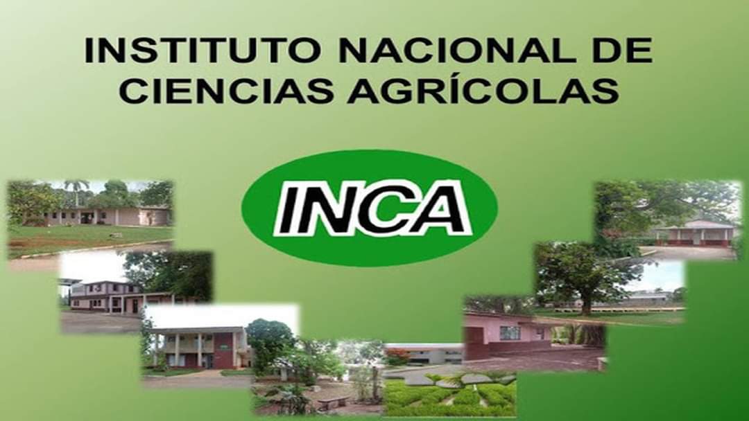 Felicitamos al Instituto Nacional de Ciencias Agrícolas @IncaCuba en su aniversario 54, protagonista de importantes aportes a la investigación agrícola en #Cuba, haciendo ciencia y Revolución. Muchas felicidades a los inqueños #UniversidadCubana #Ciencia #Invovación