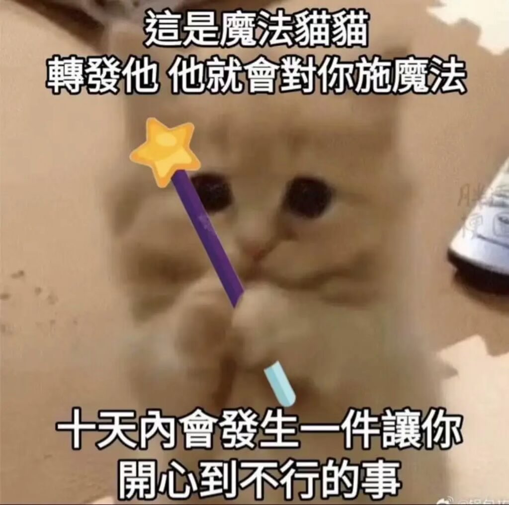 TAPPY ♡ 心願成就祈願🫶🏻🦄 (@tiffanydabby) on Twitter photo 🪄💫💖 🪄💫💖