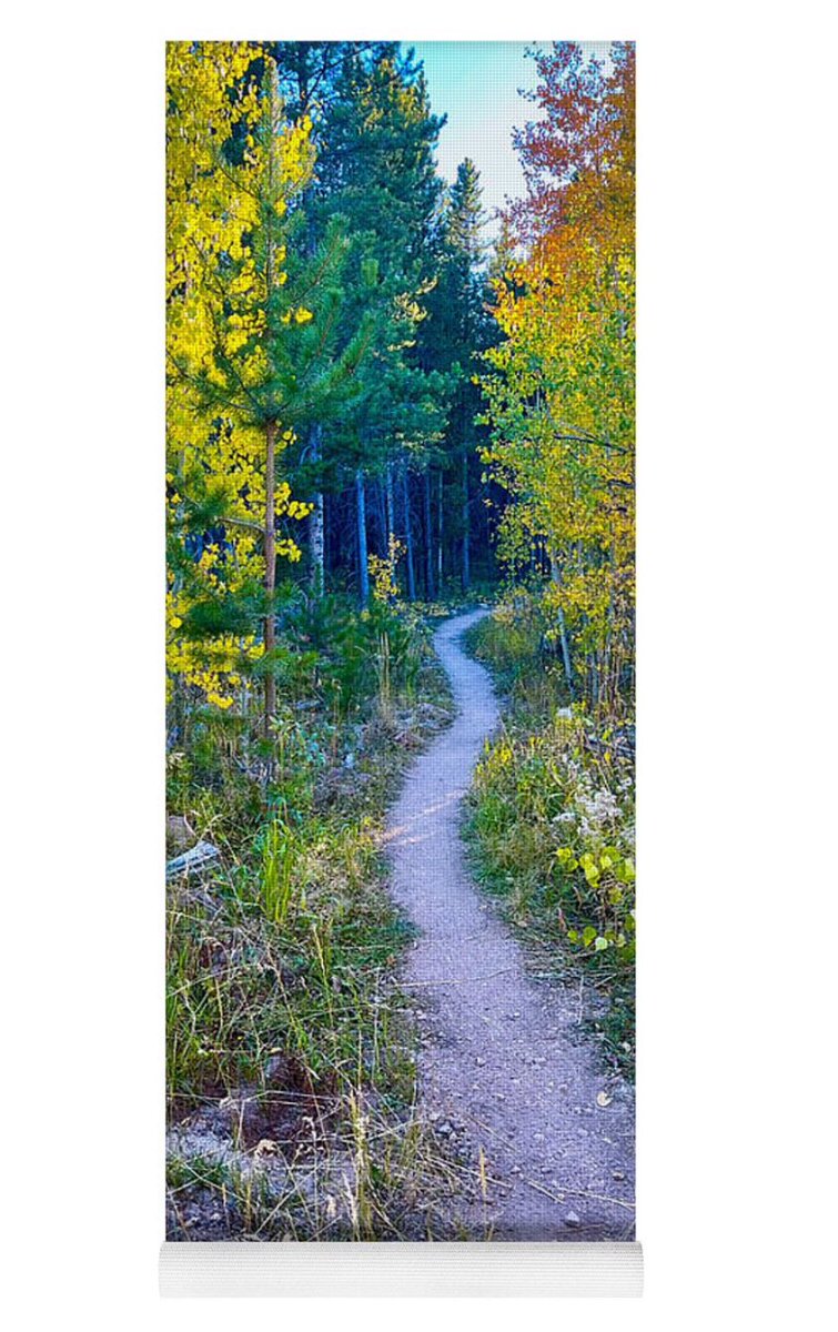 The perfect #yogamat for your #YogaJourney! #pathforward #yoga #yogadaily #yogaeveryday #namaste #nature #path #nature

faa.savingmemoriesbymakingmemories.com/featured/getti…