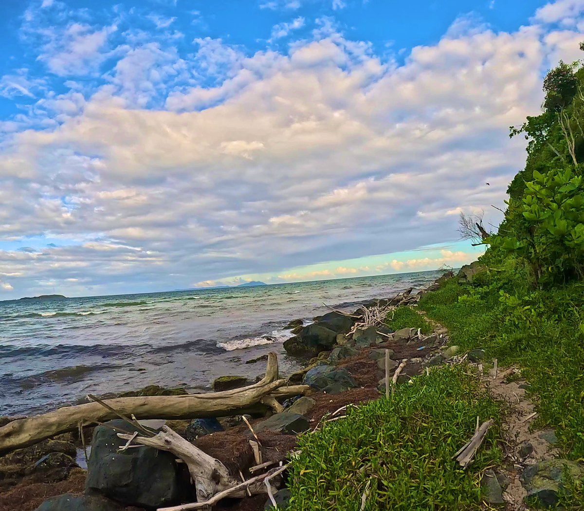 My Island Life 🏝️
Humacao, Puerto Rico