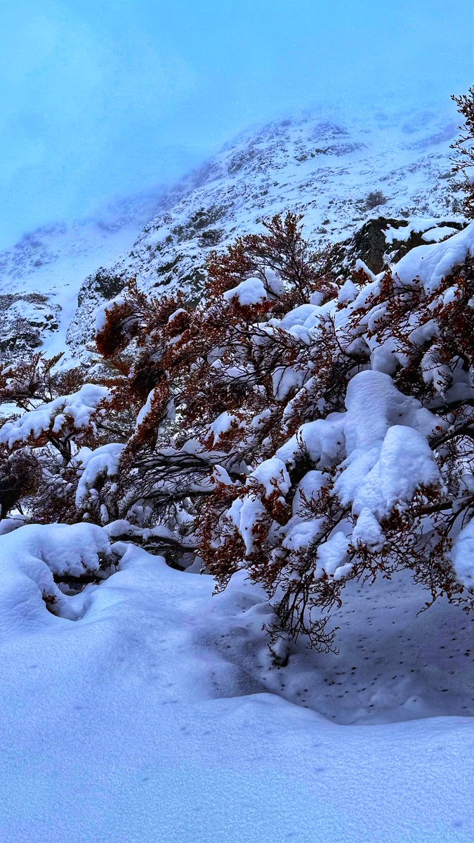 Ushuaia, Tierra del Fuego. 💚