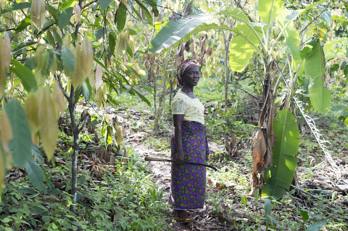 On Saturday Sierra Leone turned 63 🇸🇱 We celebrate a nation rich in history, agriculture, and inspiring communities! Reflecting on the journey, we are honored to partner with a nation just as committed to #endmulti-dimensional poverty and pave the way for a brighter future.