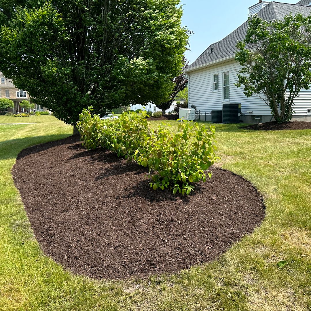 Yard Feeling Mulch-y Bland?😟
Spruce them with our mulch installation pros to keep your yard looking sharp all season long.🌳😎

Boost Your Property's Value with our mulching service🤗💫

#amherstlandscaping #gardeninglove #gardeninspiration #landscapingservice #mulchinstallation