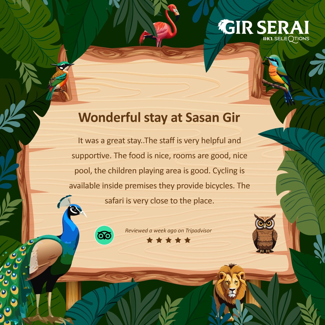 Your kind words brighten our day, reflecting the warmth and excellence of our hospitality.  

#HappyGuests #BookNow #Wilderness #Hospitality #SeleQtionsHotels #NotJustAnotherHotel #WhatsYourSeleQtion #NamedCollection #ExperienceSeekers #Sasan #GirSerai