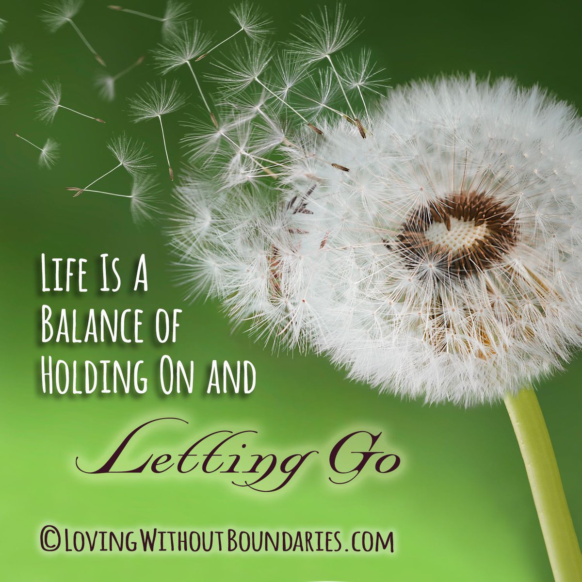 Life is a balance of holding on and letting go.
Poster created with love by Kitty Chambliss.

Sign up at buff.ly/38R7cr9 for sexy content and alternative relationship talk! Curious? Find out more!
#polycoach #relationshipcoach #openrelationship