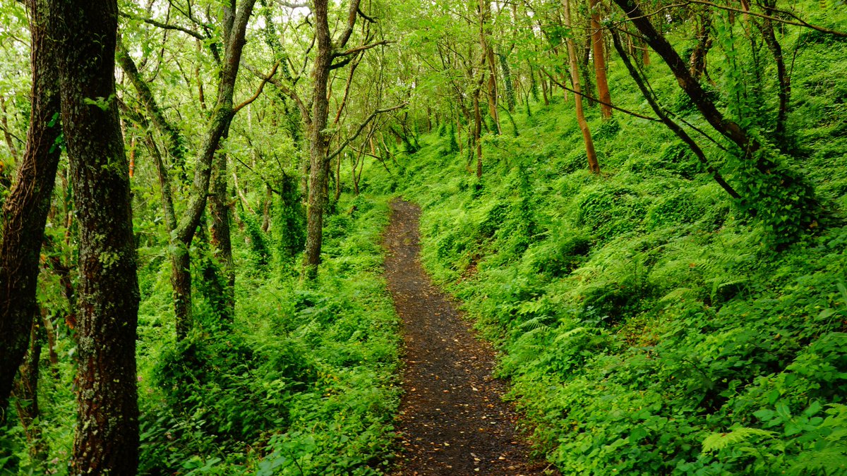 8. The Nature

Here’s a good one:

Spain has more UNESCO Biosphere Reserves (53) than any country on the planet.

Its natural beauty is one of the most underrated aspects.