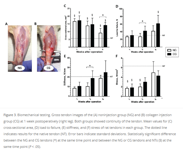 Can atelocollagen injection improve healing in Achilles tendon ruptures? This Korean rat study showed improvement in functional, biomechanical and morphological outcomes in non-op treated Achilles injuries. #Achillestear #Achillesrepair Read more here! ow.ly/pusV50Rjouy