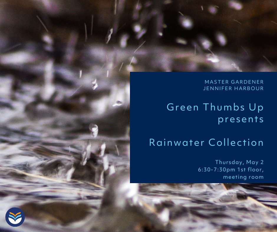 💧 Curious about collecting rainwater? 
Join us Thursday May 2nd from 6:30-7:30pm to learn from Master Gardener Jennifer Harbour. 
1st floor, meeting room. 

#MyRRPL #MasterGardener #WaterConservation #GardenWorkshop #CommunityEvent #EnvironmentalEducation