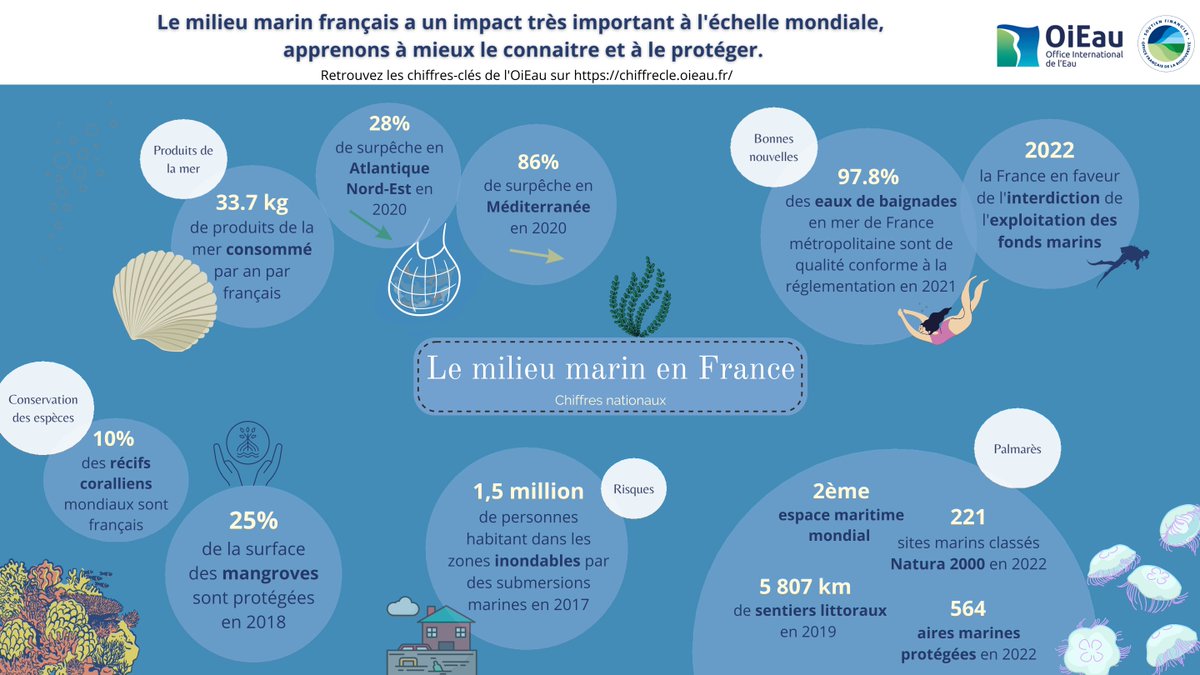 🌊🇫🇷 #LeSaviezVous Avec 10% des récifs coralliens mondiaux et 25% de ses mangroves protégées, la France joue un rôle clé dans la conservation marine mondiale.🐠 📷Plongez dans cette infographie de l'@OI_Eau pour en savoir plus sur le milieu marin français.👇