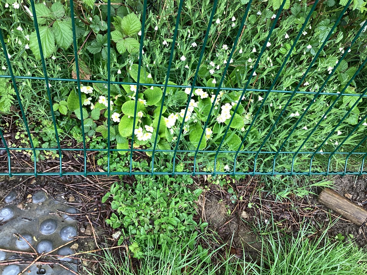 WHPEcoCommittee tweet media