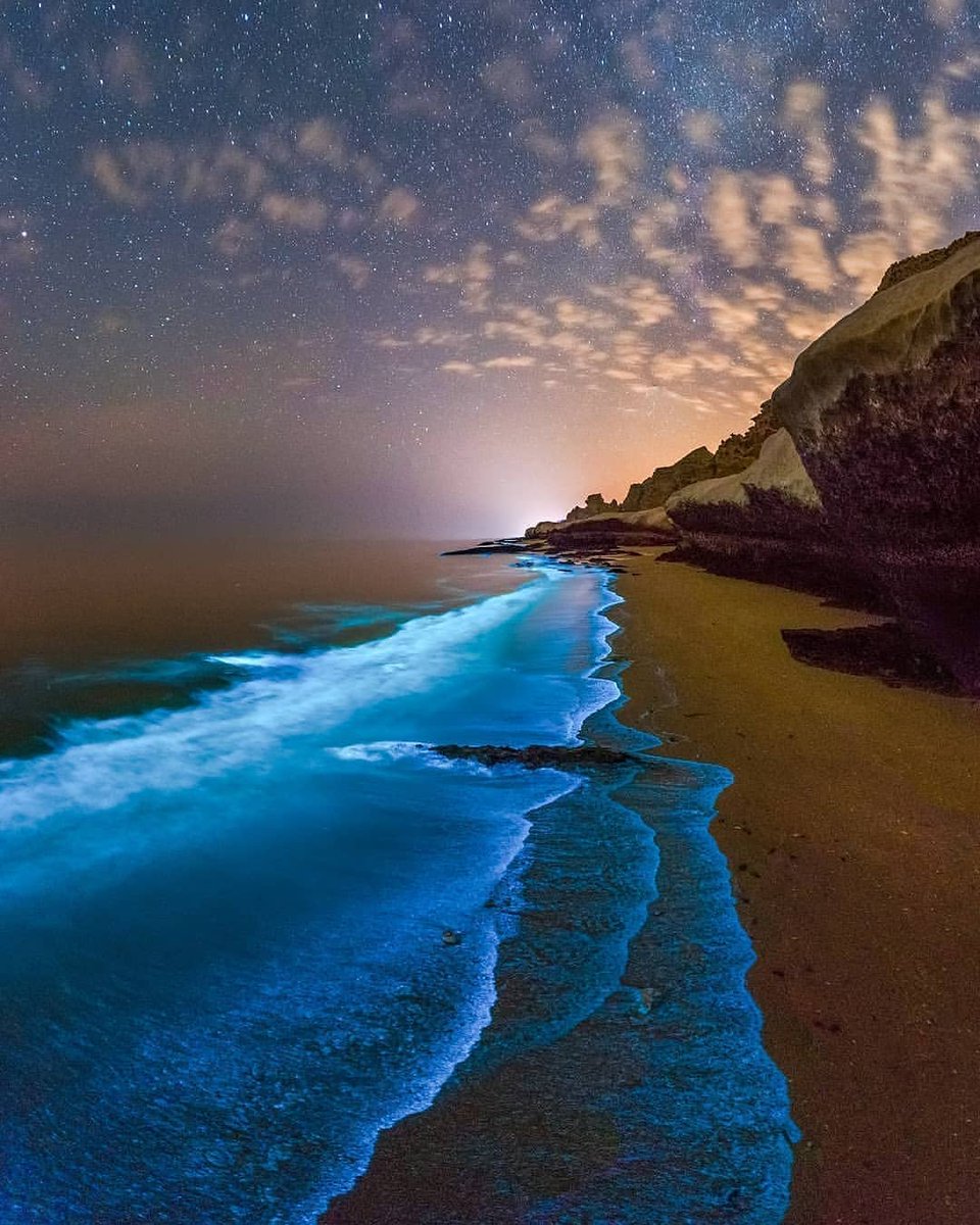 💙 Bioluminescent Phytoplankton in the Persian Gulf