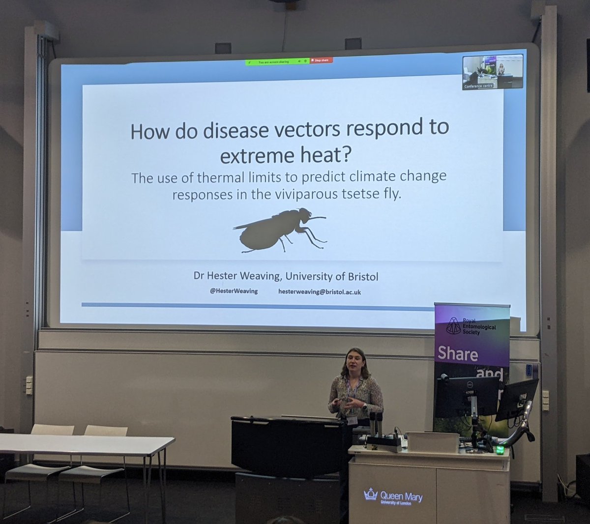 englishse's tweet image. Really enjoyed the @RoyEntSoc #RESExtreme24 event last Thursday - thanks for inviting me! Such an interesting line-up of talks across the breadth of behaviour, physiology and different groups (pollinators, vectors). Congratulations to @HesterWeaving for winning Best Student Talk!