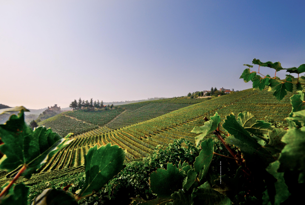 Zonin1821 expands fine wine offerings with addition of two Italian estates - Harpers Wine & Spirit Trade News harpers.co.uk/news/fullstory…