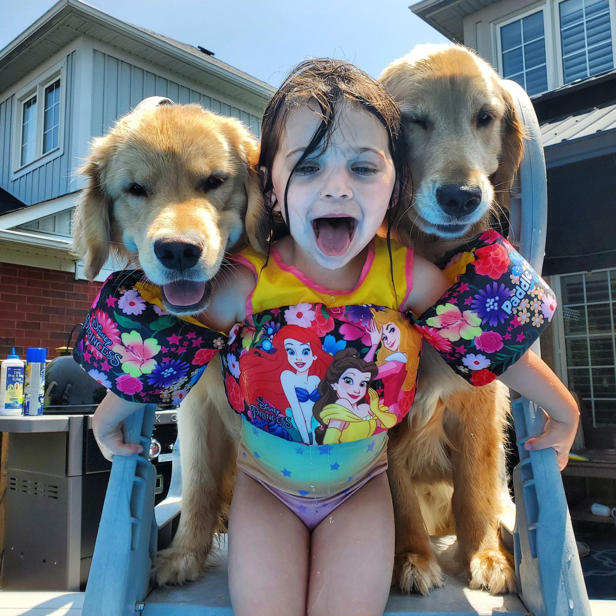 This month, we've shared lots of 'pawsitive' posts with some of #AjaxFire's furry family members. Here's 1 last adorable photo. Our AO Sue's granddaughter & her pups Bentley & Daisy remind families that young children should always be within arm's reach while swimming
@TownOfAjax