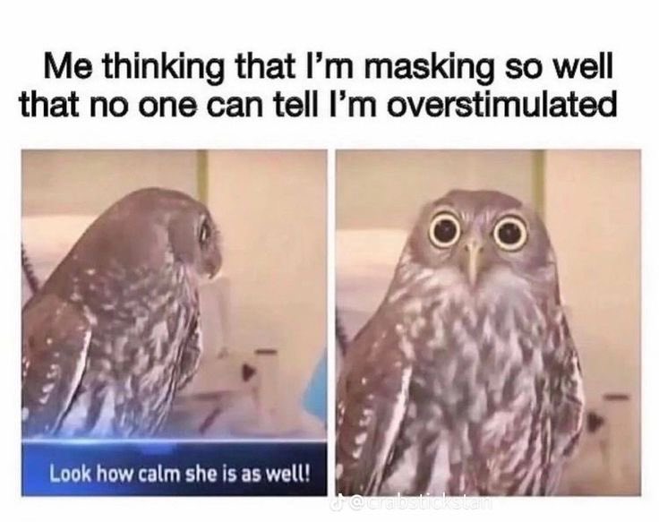 Eden Prime tweet media