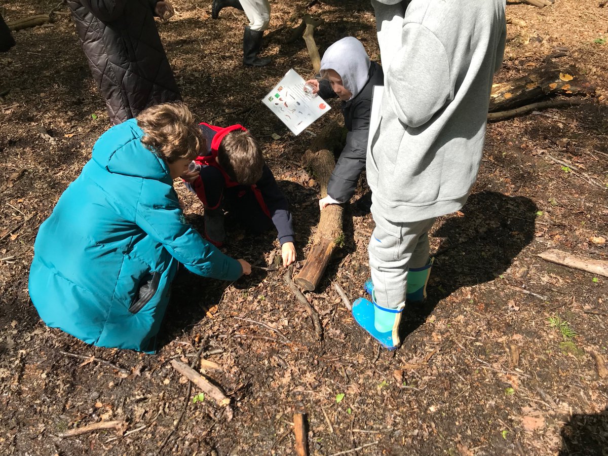 @SRAPrimary having a great time at the hive 🙂. Already found beetles, spiders, works and even a toad.