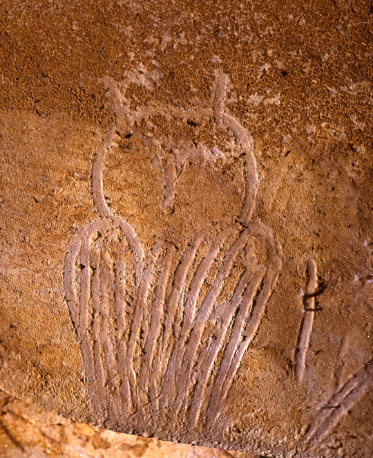 Making art of owls is nothing new. In The Hidden Life of Owls, Leigh Calvez writes: “In Europe, hunter-gatherer people of the stone Age carved a Long-eared Owl in the Chauvet Cave, home of the second-oldest cave paintings in France at about 32,400 years old.” @BirdCentralPark