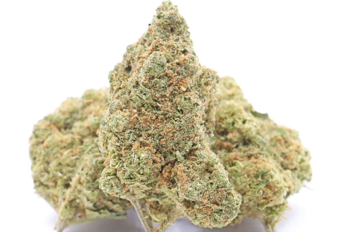 Blueberry Strain – Indica Dominant Hybrid Flower #cannabiscanada buff.ly/3xKZVJX