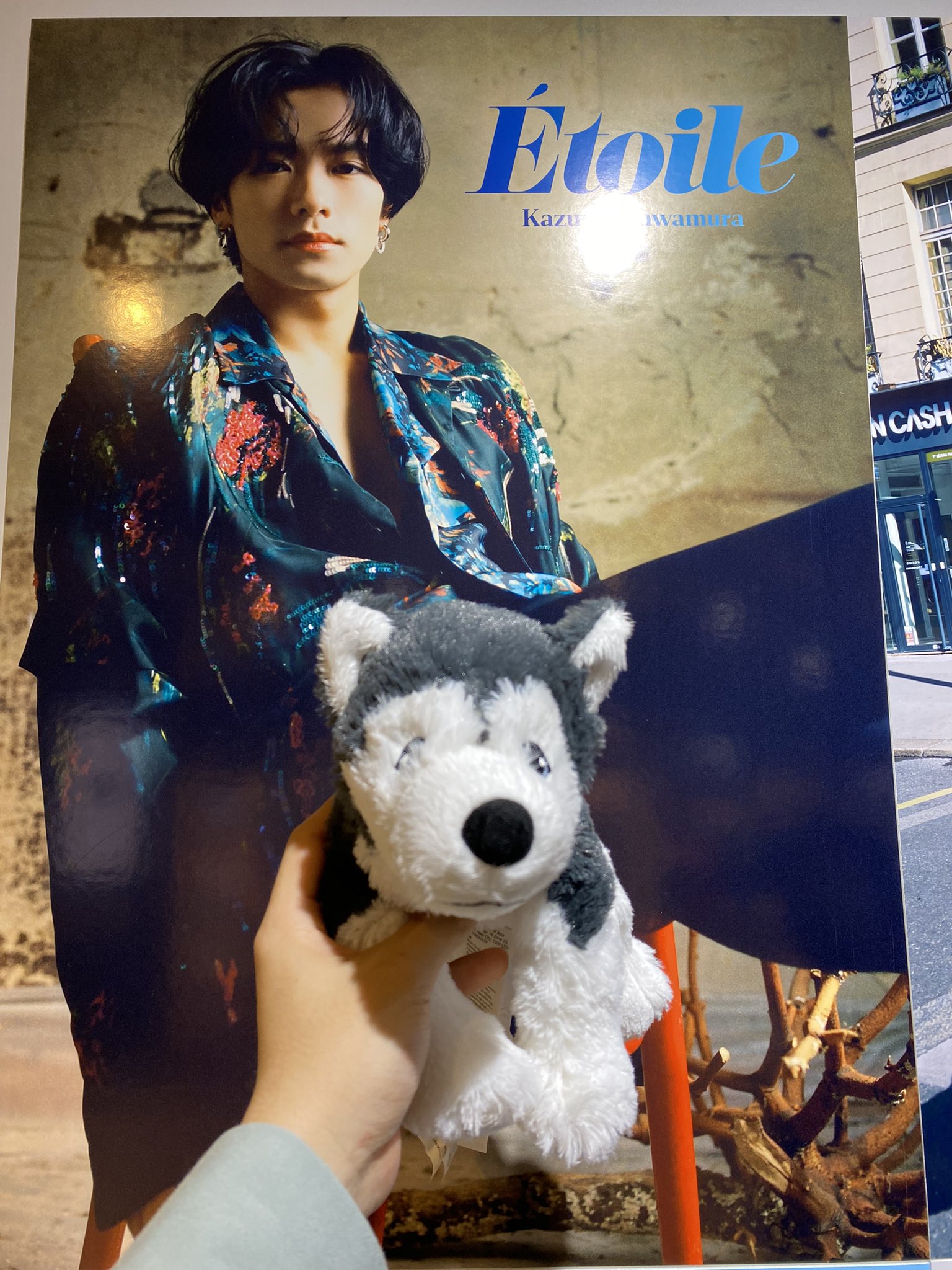HIROTO в X: „壱馬くんとお揃いのハスキーGET✨ パネル展も見れ HIROTO в X: „壱馬くんとお揃いのハスキーGET✨ パネル展も見れ