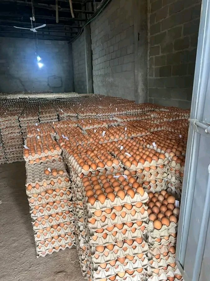 Freshly laid eggs are good for up to 3 months starting from the day they have been laid. However, the freshness of your eggs is only as good as your storage method.