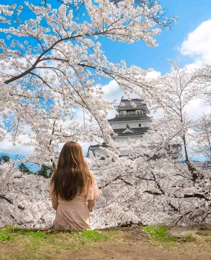 Magical moments at Osaka Castle, Japan🎊🇯🇵🏯