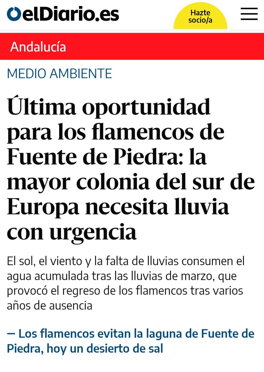 Mientras los flamencos de la Laguna de Fuente Piedra no saben aún dónde van a pasar el verano, las administraciones siguen sin abordar el plan integral sobre la gestión del agua, dando luz verde a proyectos que agotan los recursos y ponen en peligro nuestro medio natural.