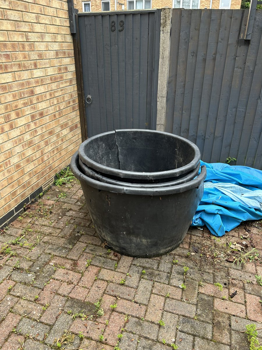 Remember the giantic pots that housed the Liquidambar trees for Hornsey Libray? We had the large pots stored @HaringeyLP and we ended up giving them to a neighbouring resident to use in their garden. Happy to see the pots getting repurposed and reused.