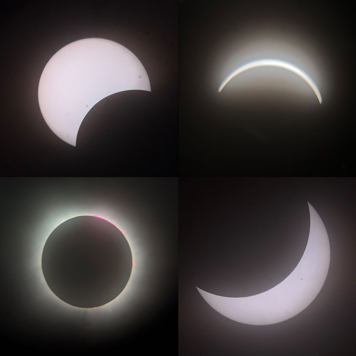 Rising third-year medical student Chad Huss shared some of his photos from the total solar eclipse on April 8. He snapped the photos using an iPhone 13 and his 10-inch Dobsonian telescope. 
#UToledoMed #totalsolareclipse