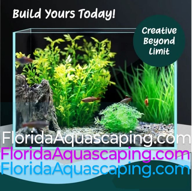 #aquascaping #aquaticplants #aquascape #ponds #flordiaaqauscaping #pondplants #fish #aquarium #fish #flordiaaquarium #aquaplants #pond #plantlife #nature #pondaquarium #plantsale #pondlife #fishtank #naturalfilter @floridaaquascaping.com #plantsale #bogo #bestproduct #bestprice