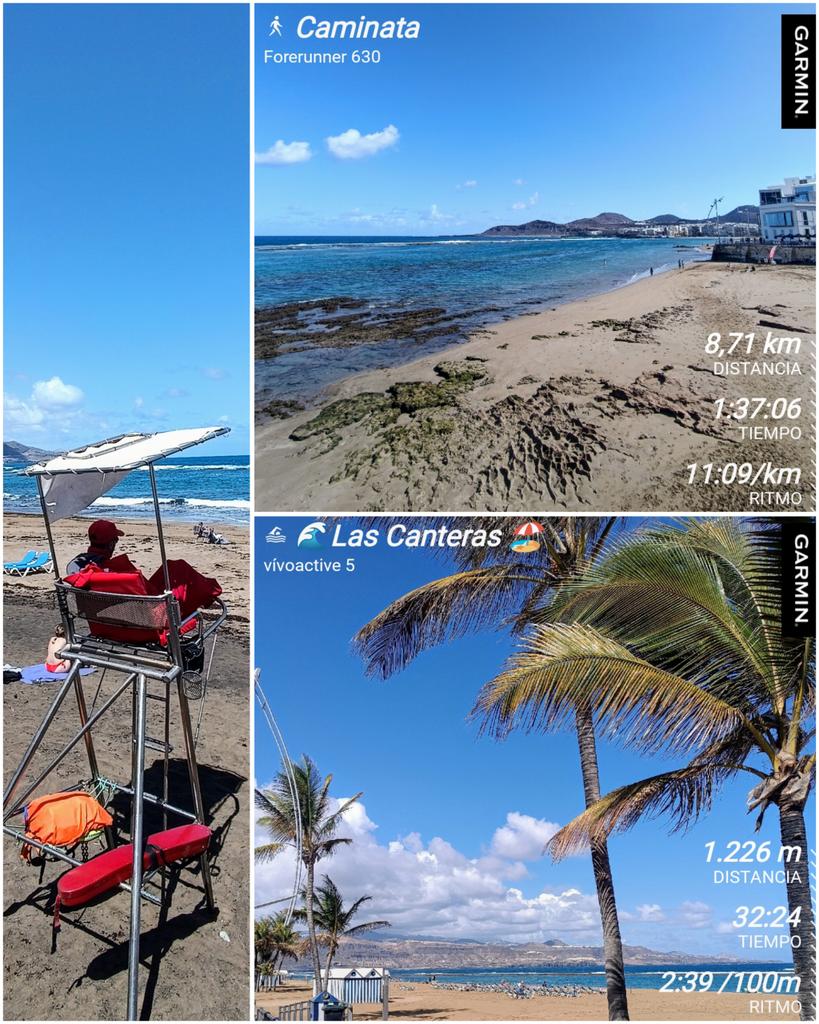 🚶🏻‍♂️8k  🏊🏼🌊1200m
Caminata de hora y media de ida y vuelta a la playa para nadar otra media
🏖️#PlayaDeLasCanteras
🎧📻
🌤️#MeteoGC 🕚🌡️20°
#GranCanaria
#Caminar #Walk
#NataciónEnAguasAbiertas #Natación #Swimming
#NadarEnLaPlaya #BeachSwimming
#DIABETESTIPOFREE
#MUÉVETEFRENTEALCÁNCER