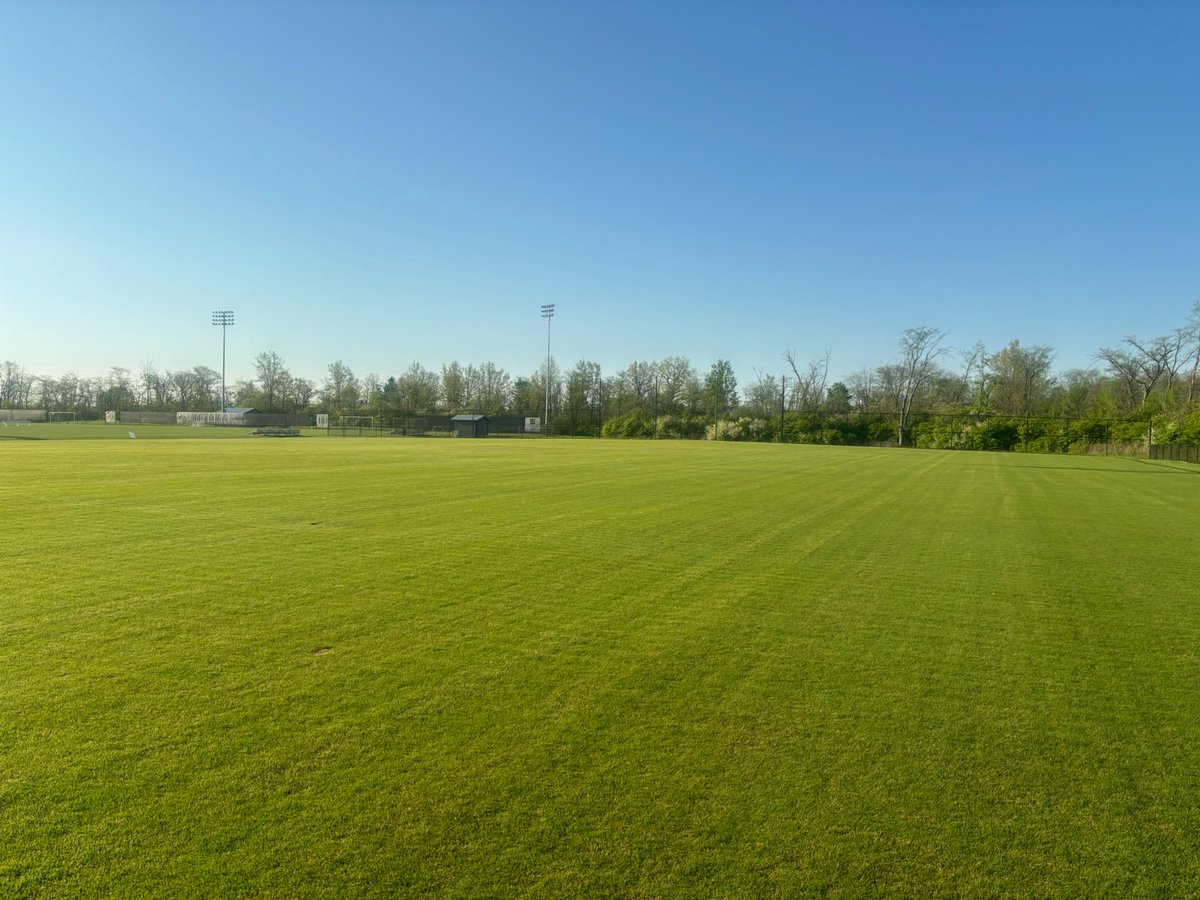 Non-overseeded <a href="/Tahoma31Bermuda/">Tahoma 31</a>. ✅ 

In Ohio. ✅ 

In April. ✅