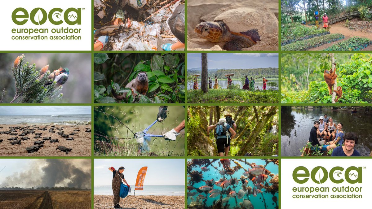Last few days of voting! 14 fantastic projects all looking for your vote to secure EOCA funding for their conservation projects to protect landscapes, habitats and wildlife. Voting closes on Thursday, 12.00hrs BST/13.00hrs CEST. Vote now bit.ly/ProjectVoteSpr…