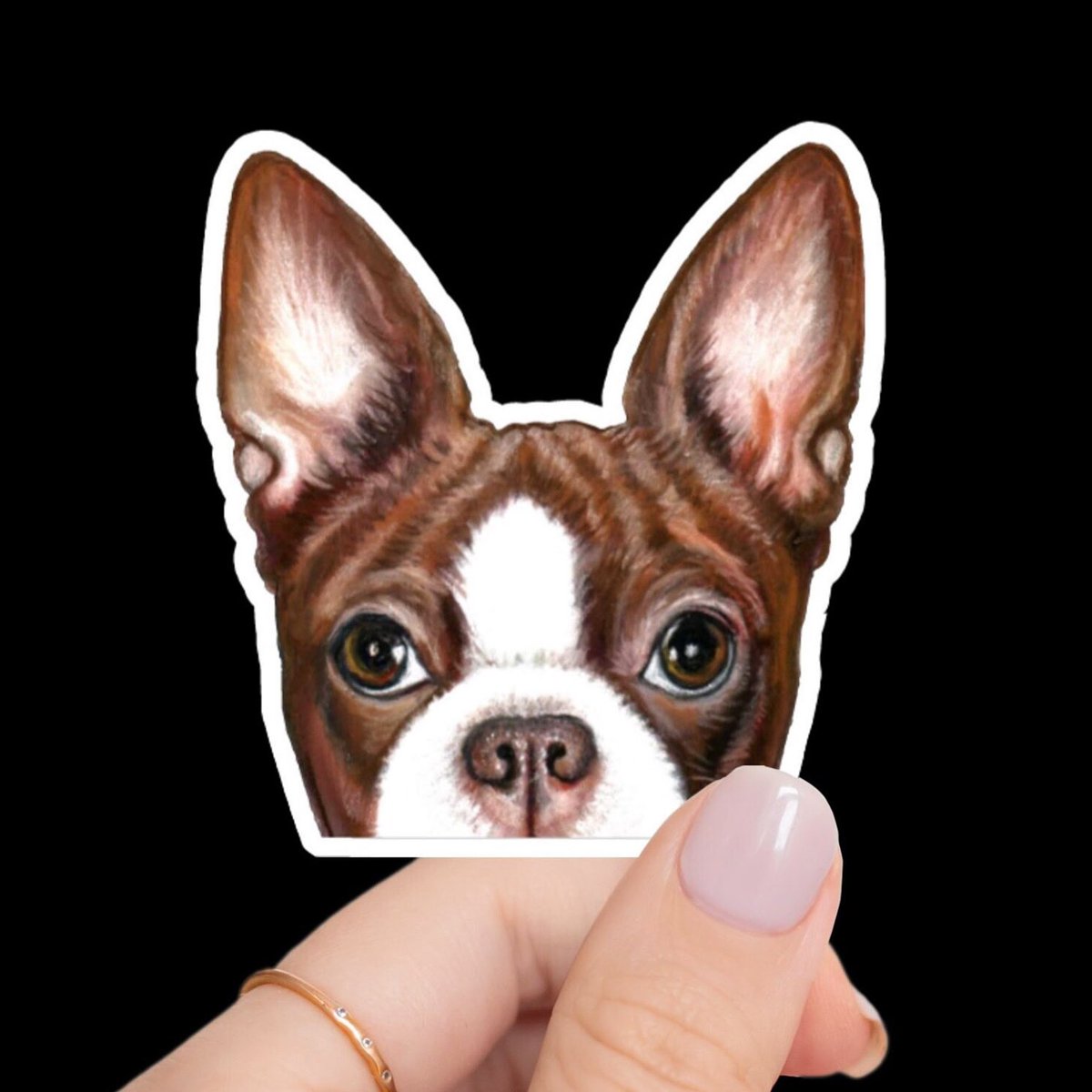 Brown and White Boston Terrier Stickers! artbyjulene.etsy.com/listing/172220… #bostonterrier #redbostonterrier #brownandwhitebostonterrier
