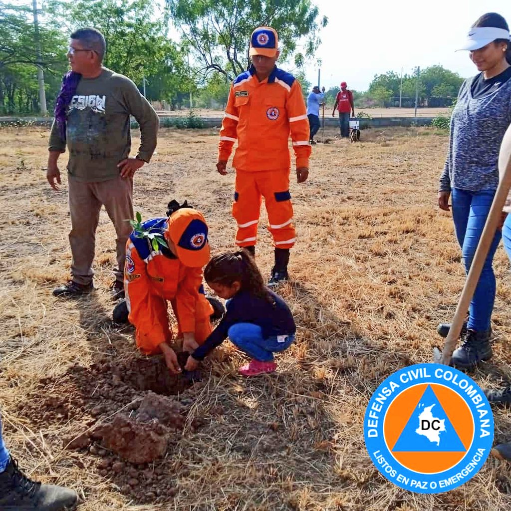 🌳¡Celebramos el Día Mundial del Árbol! 🌳 El Comité <a href="/Valledupar_Col/">Valledupar</a> de la <a href="/DefensaCivilCo/">DefensaCivilColombia</a> se une a esta importante fecha para destacar la importancia de los árboles en nuestro ecosistema. 🌍🌿 ¡Cuidemos y protejamos nuestros bosques para un futuro más verde y sostenible! 💚🌳