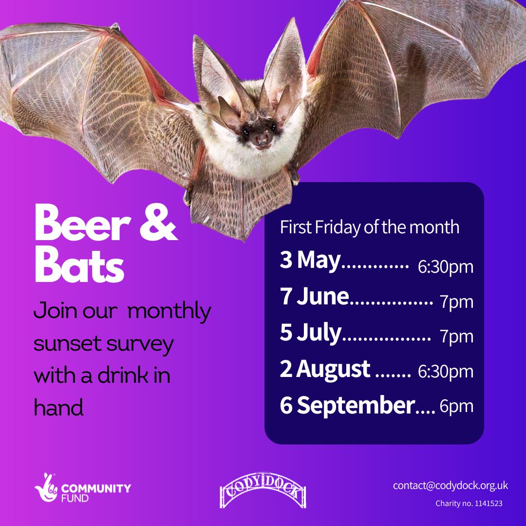 #BeerAndBats is back!!
Our ever-popular series of #bat talks and walks have been scheduled for 2024.

Come along to learn about our nocturnal friends, contribute to our #CommunityScience programme, & socialise at the Cody Dock Bar.

Book here:
codydock.org.uk/beerandbats-20…

#BatWalk