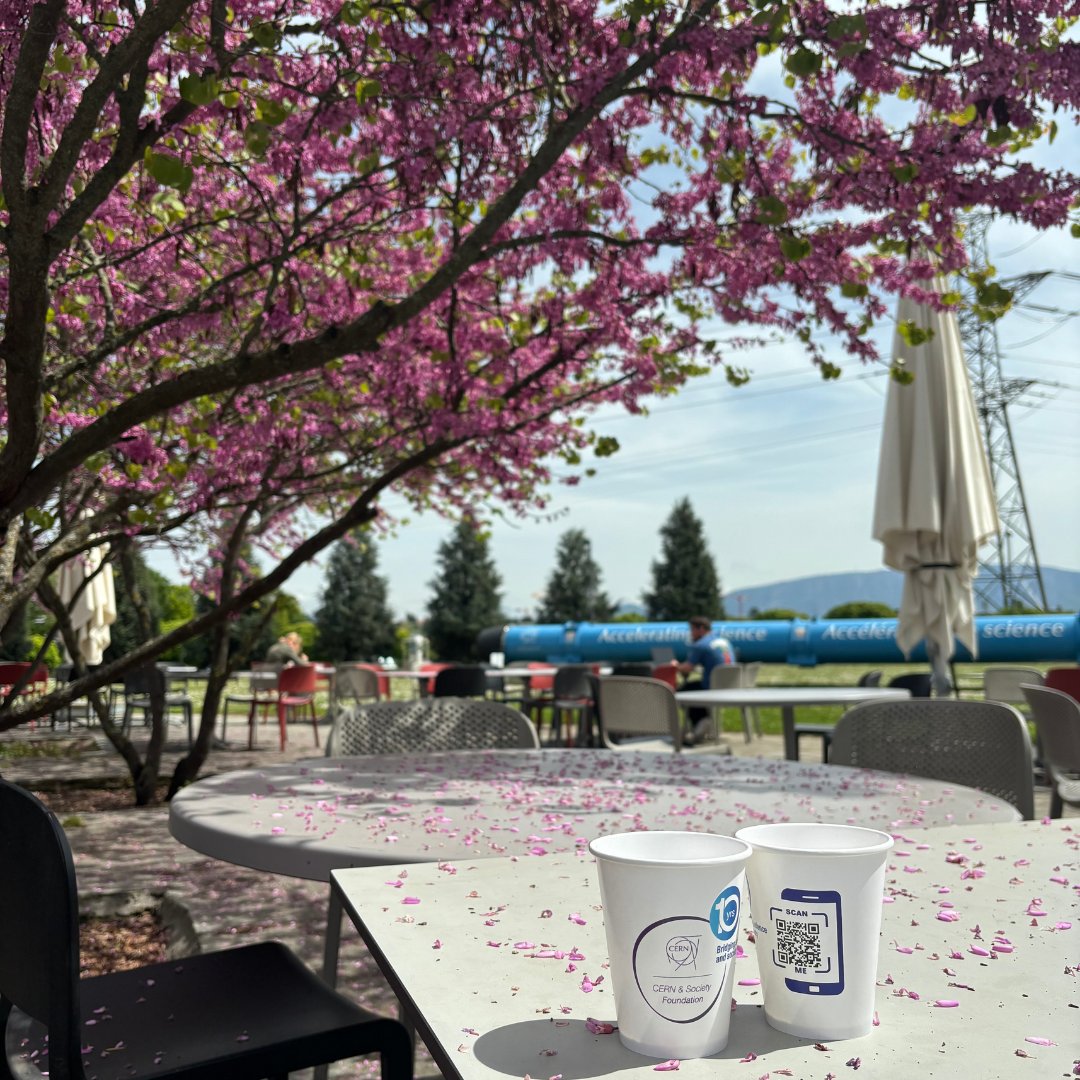 Spring is in the air #atCERN 🌸

To celebrate the blossoms on the trees and the days getting longer, we launched a photography competition for the members of the CERN community. Image 1 won the competition. #PhotoOfTheWeek

Which one’s your favourite?