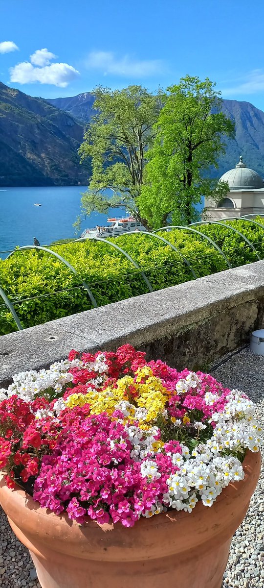 'Una delle cose più affascinanti dei fiori è il loro meraviglioso riserbo.' Colori 🌺 Villa Carlotta 📷💙