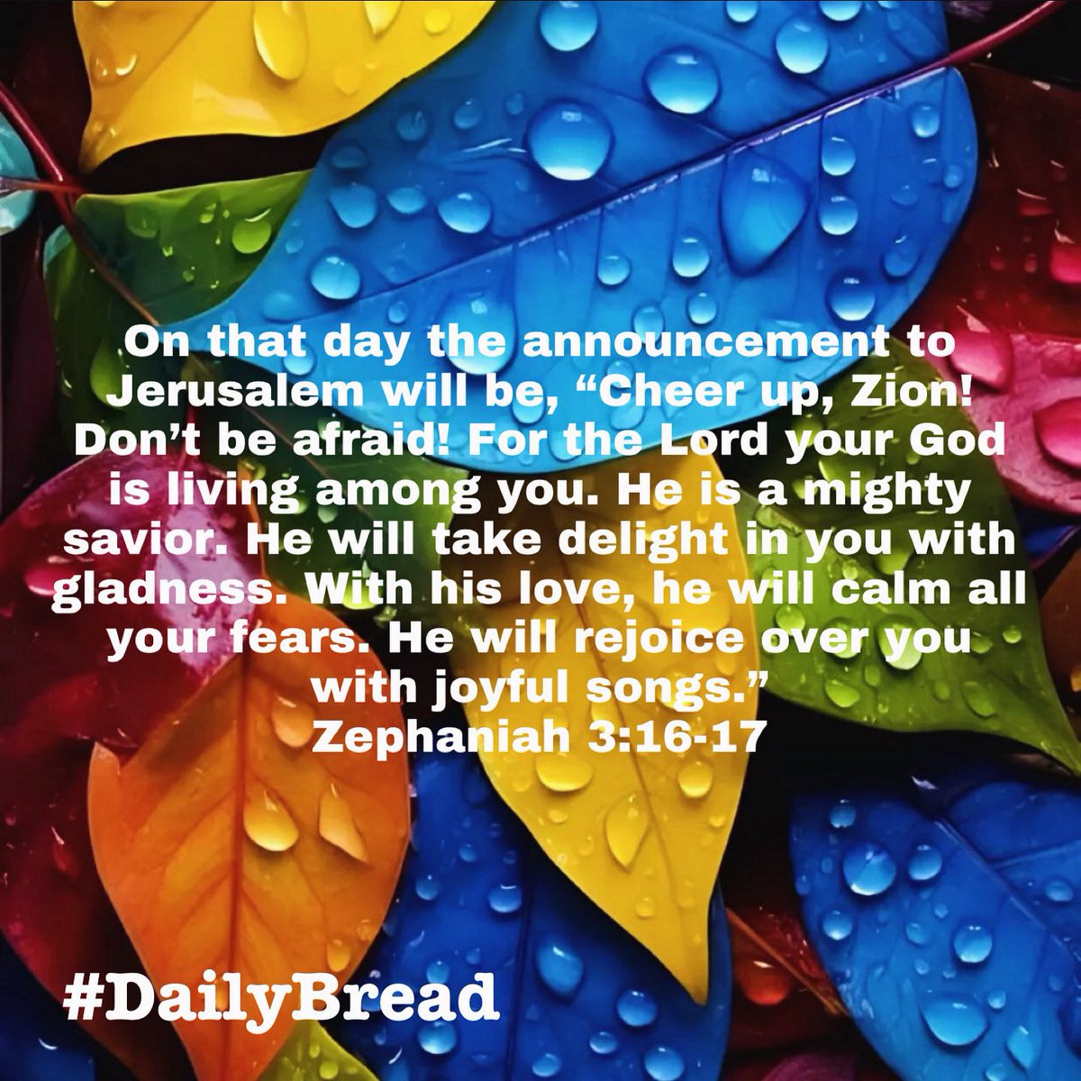 #Zephaniah 3:16–17 
#DailyBread #GodsPlan #DontBeAfraid #SpeakLife