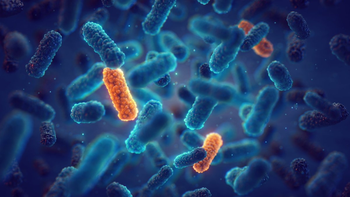 🧫🦠Pour faire face au fardeau de l'antibiorésistance bactérienne, des chercheurs de l'@I2BCParisSaclay étudient l'acquisition de gènes de résistance chez des espèces bactériennes pathogènes de l’homme. Plus d'informations ▶lejournal.cnrs.fr/nos-blogs/focu…