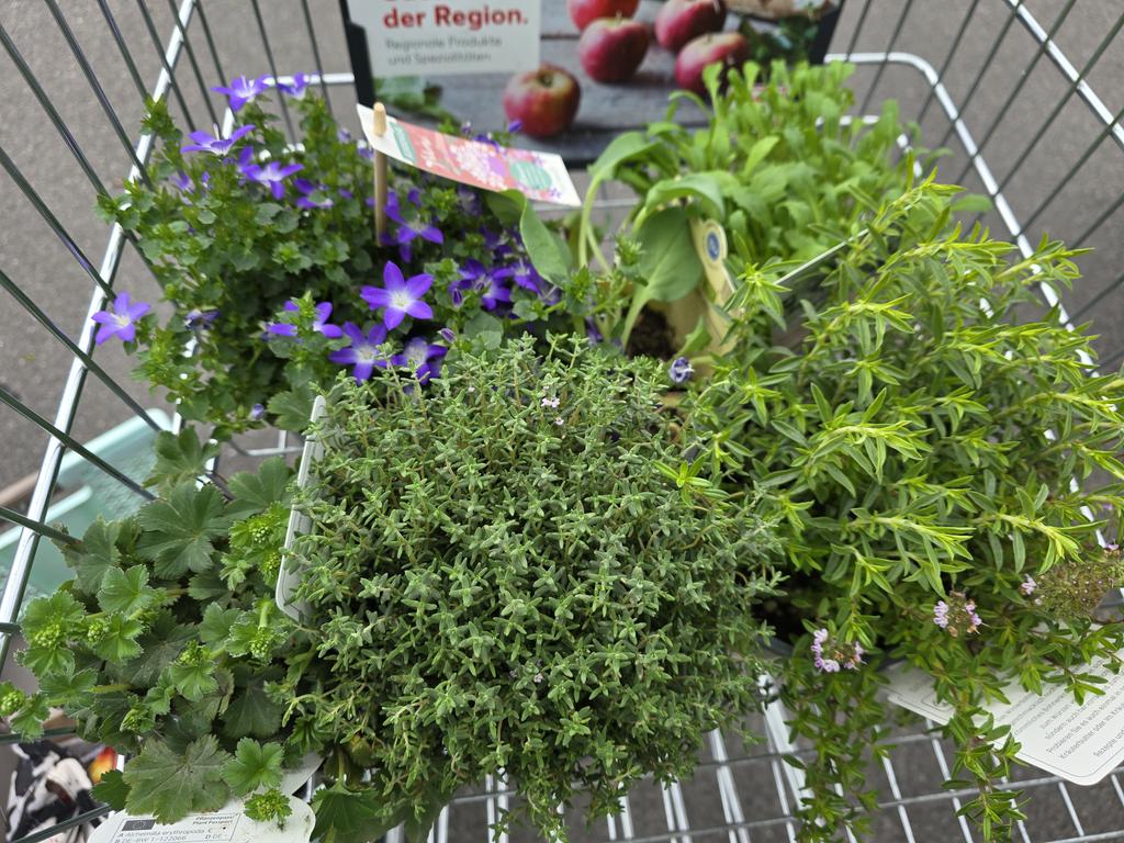 #ThatAwkwardMoment when you wanted to buy three plants for your balcony, but end up buying six...