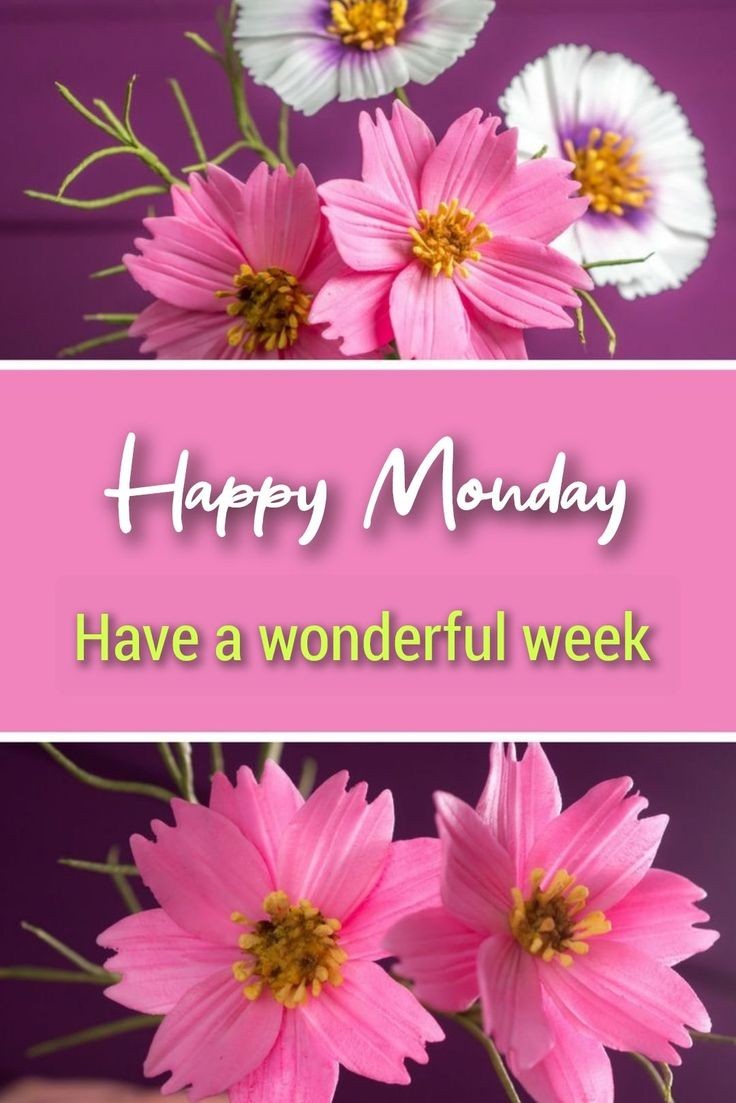 Have a great day everyone! 💗💗💗 #NewWeekNewGoals #Monday