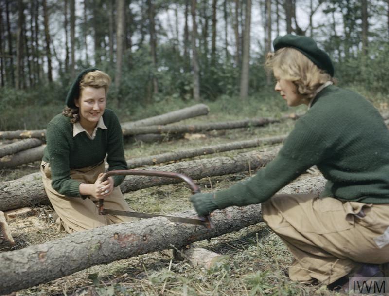 Land Army girls saw larch poles for use as pit props at the Women's Timber Corps training camp at Culford in Suffolk. Read more about the Land Army and the Timber Corps: bit.ly/3sQeppL © IWM (TR 912)