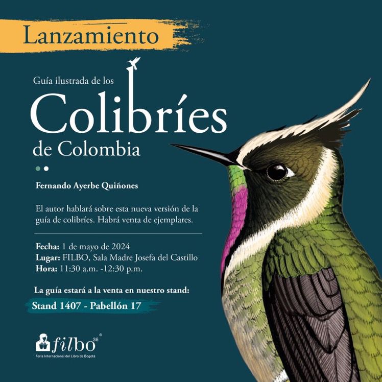 Fer Ayerbe-Quiñones (@ferayqui) on Twitter photo Si quieren saber más sobre estas carismáticas aves, dónde encontrarlas, cómo son, cómo se comportan... les invito a conocer esta nueva versión del libro Colibríes de Colombia, un bello proyecto de <a href="/ColombiaIlustra/">Colombia Ilustrada</a> que les va a encantar. Nos vemos en la #filbo2024. Si quieren saber más sobre estas carismáticas aves, dónde encontrarlas, cómo son, cómo se comportan... les invito a conocer esta nueva versión del libro Colibríes de Colombia, un bello proyecto de <a href="/ColombiaIlustra/">Colombia Ilustrada</a> que les va a encantar. Nos vemos en la #filbo2024.
