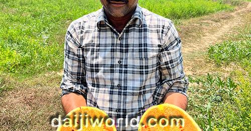 After yellow, Suresh Nayak begins cultivating orange watermelons in Udupi daijiworld.com/news/newsDispl….